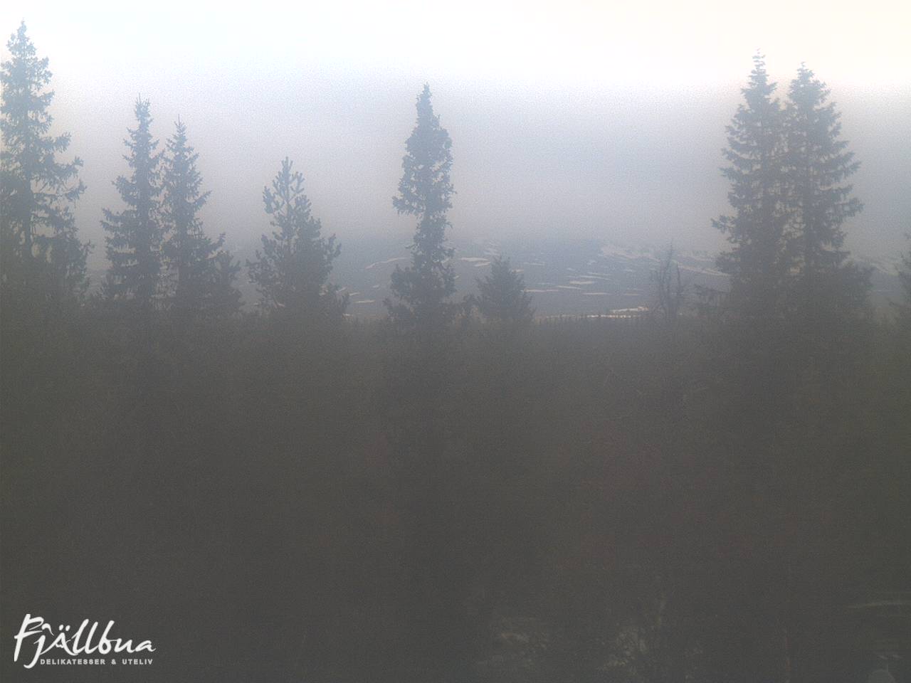 Fjällbua webcam 2025-05-16 15:30