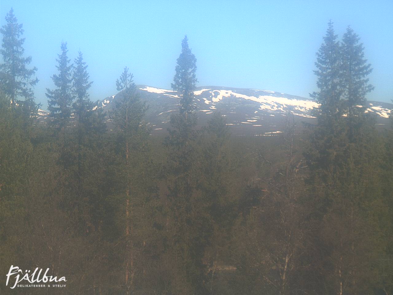 Fjällbua webcam 2025-05-19 09:00
