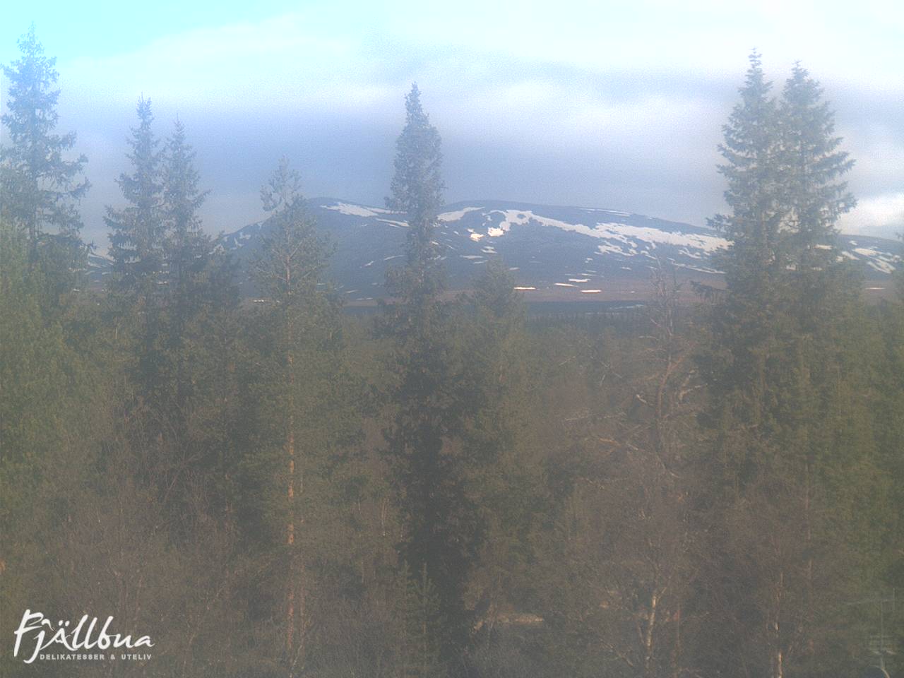 Fjällbua webcam 2025-05-20 08:30