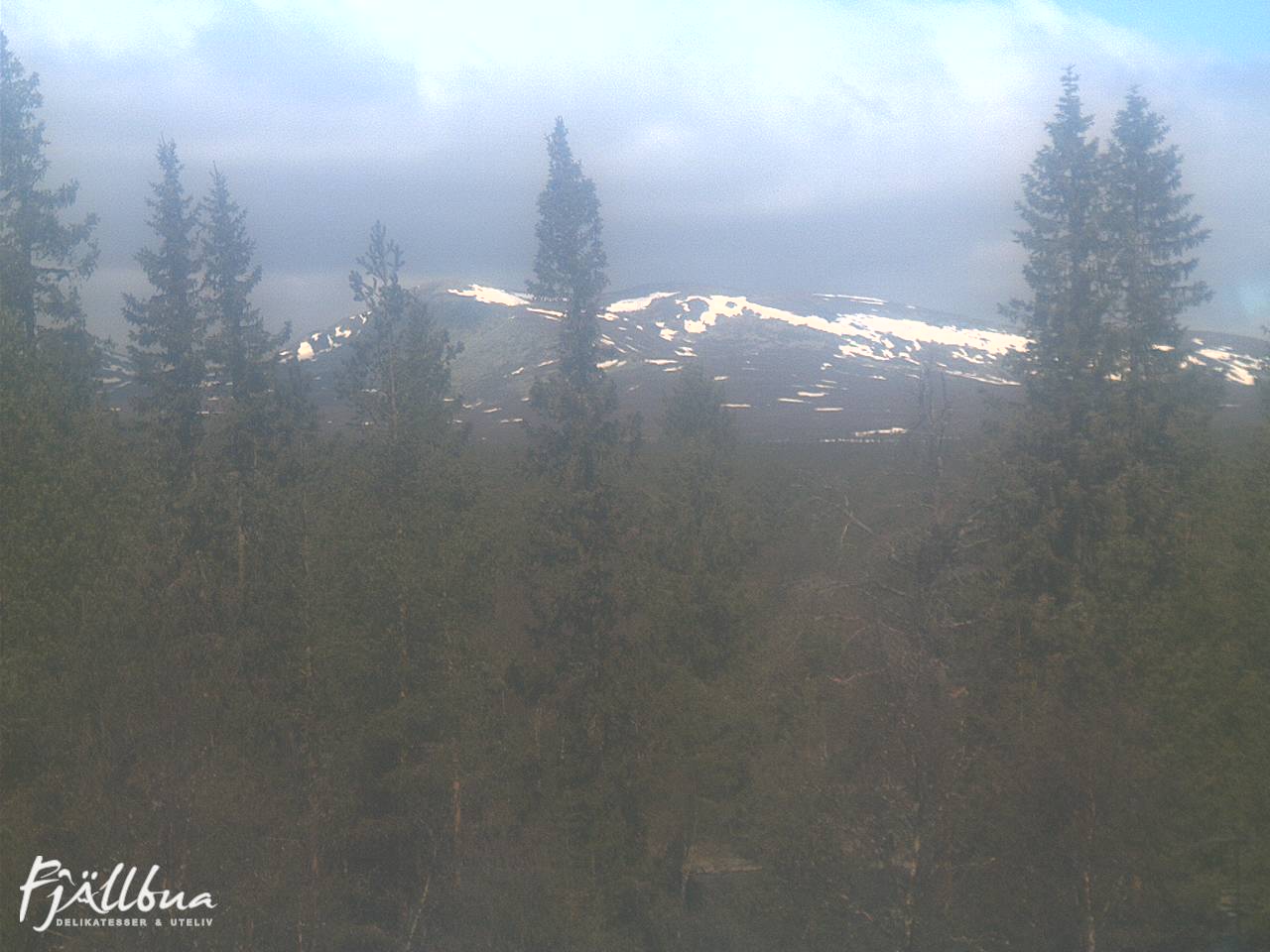 Fjällbua webcam 2025-05-20 11:00