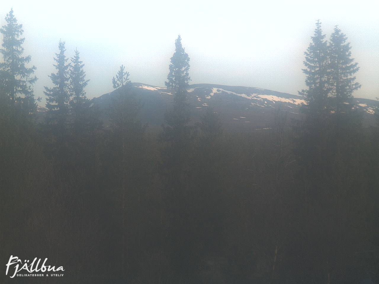 Fjällbua webcam 2025-06-03 06:00