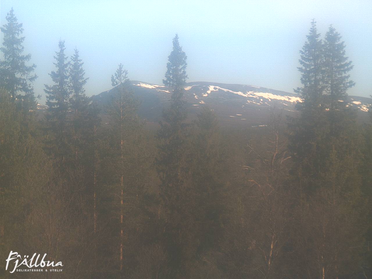 Fjällbua webcam 2025-06-03 06:30