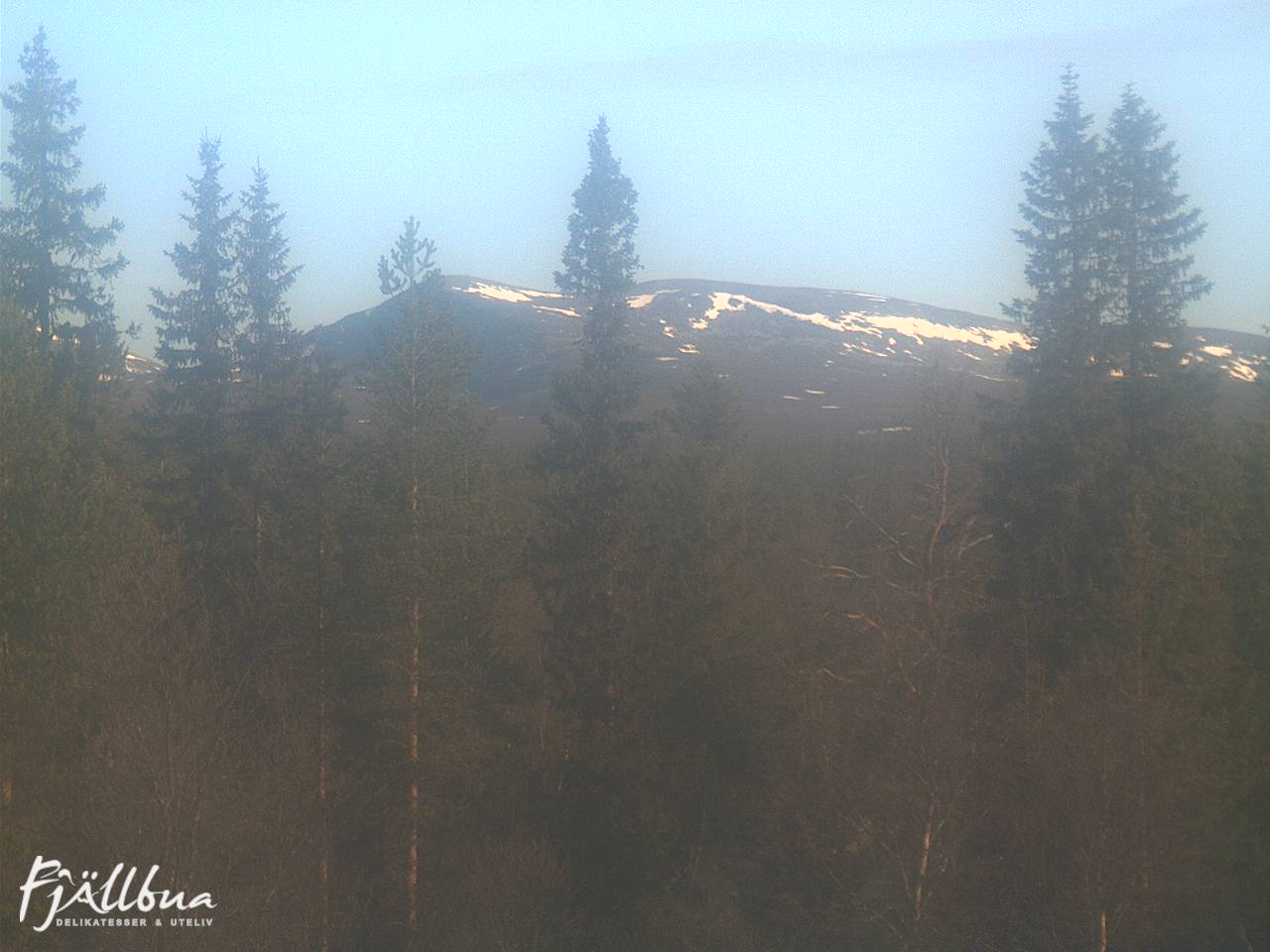 Fjällbua webcam 2025-06-03 07:00
