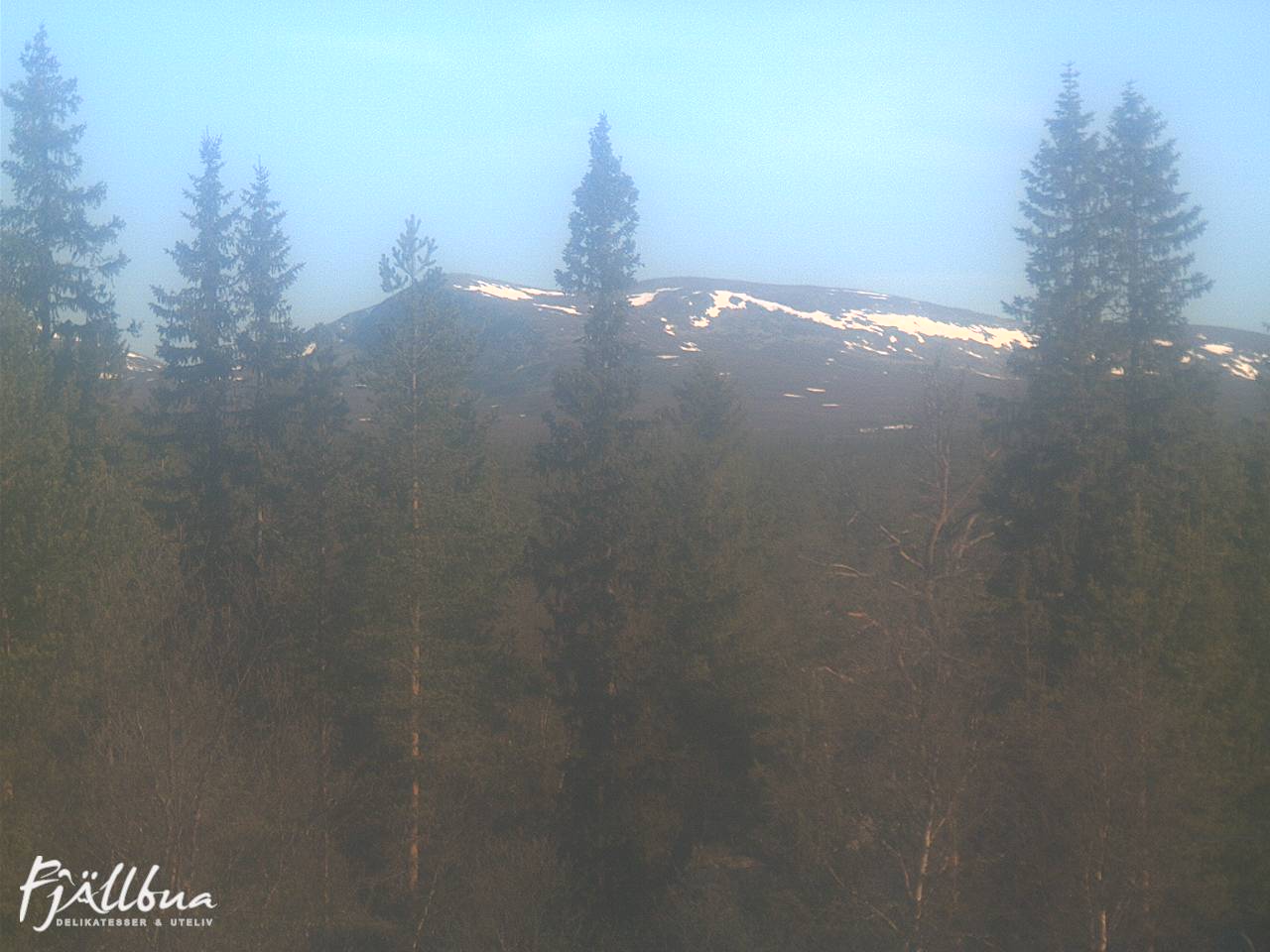 Fjällbua webcam 2025-06-03 07:30