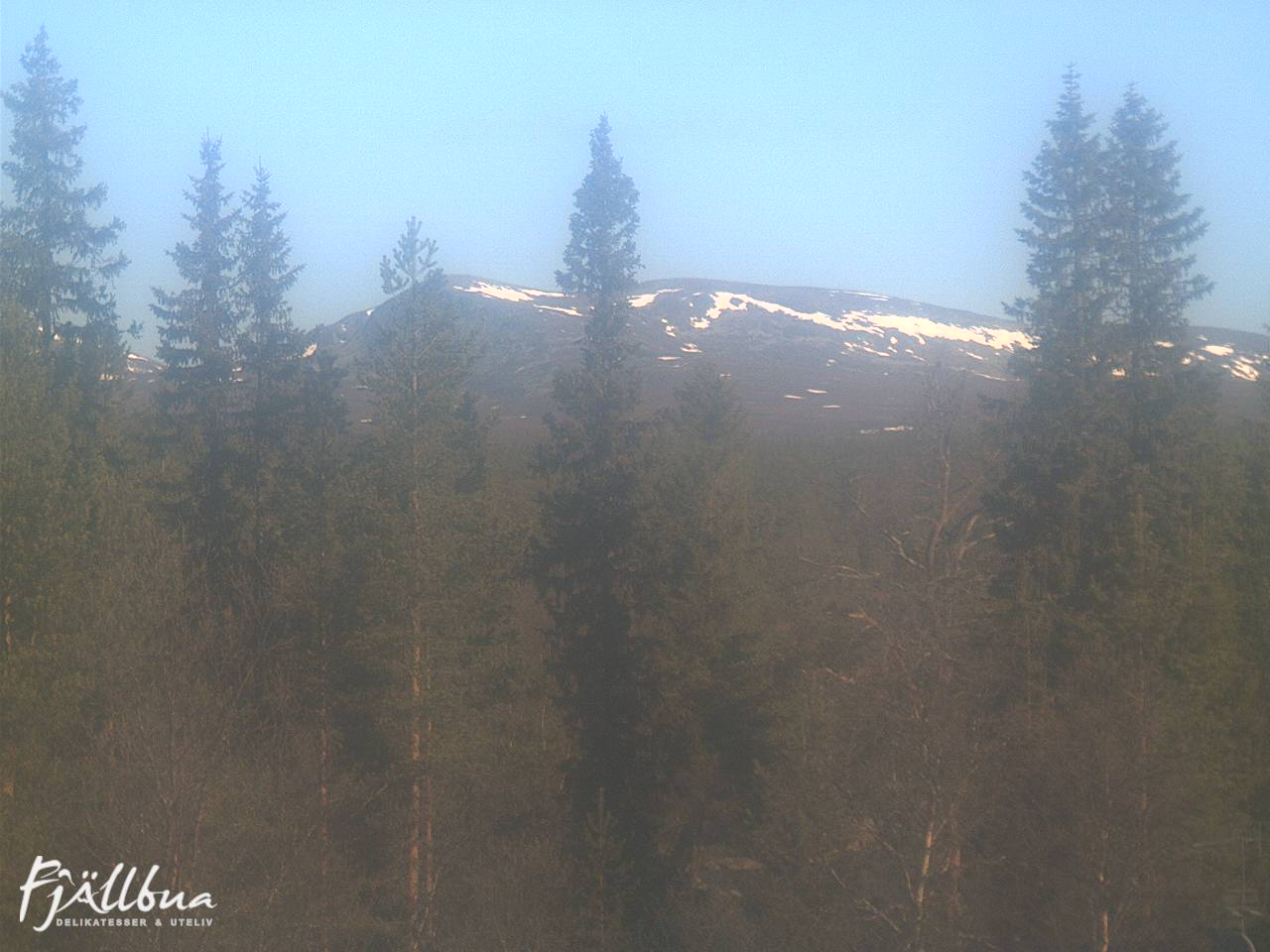 Fjällbua webcam 2025-06-03 08:00