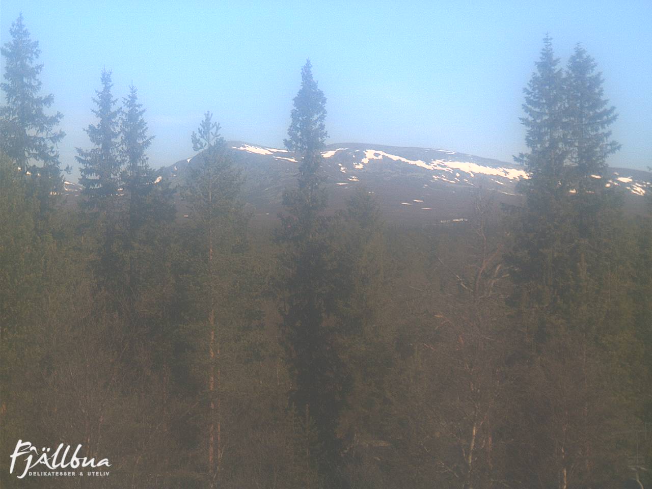 Fjällbua webcam 2025-06-03 08:30