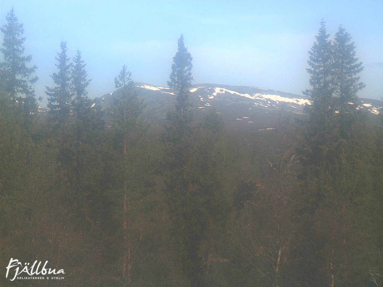 Fjällbua webcam 2025-06-03 09:00