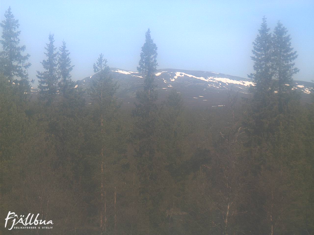 Fjällbua webcam 2025-06-03 09:30