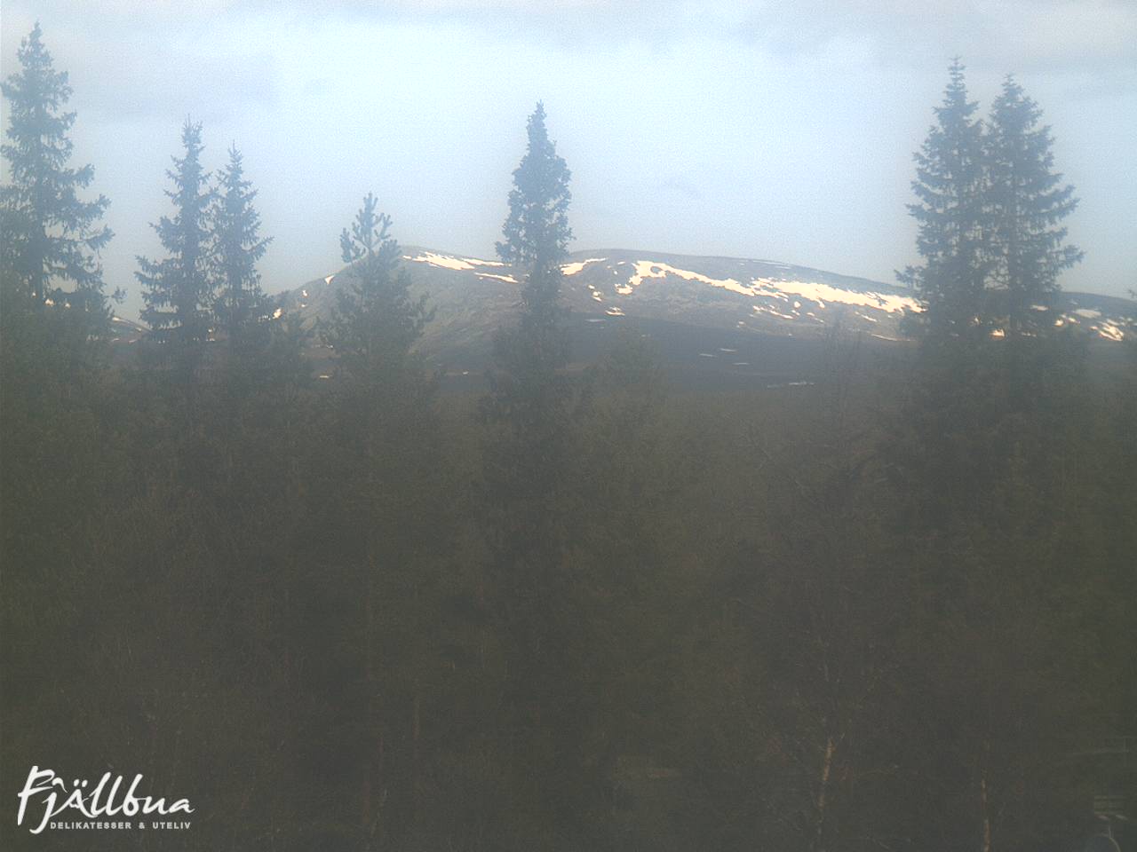 Fjällbua webcam 2025-06-03 10:00