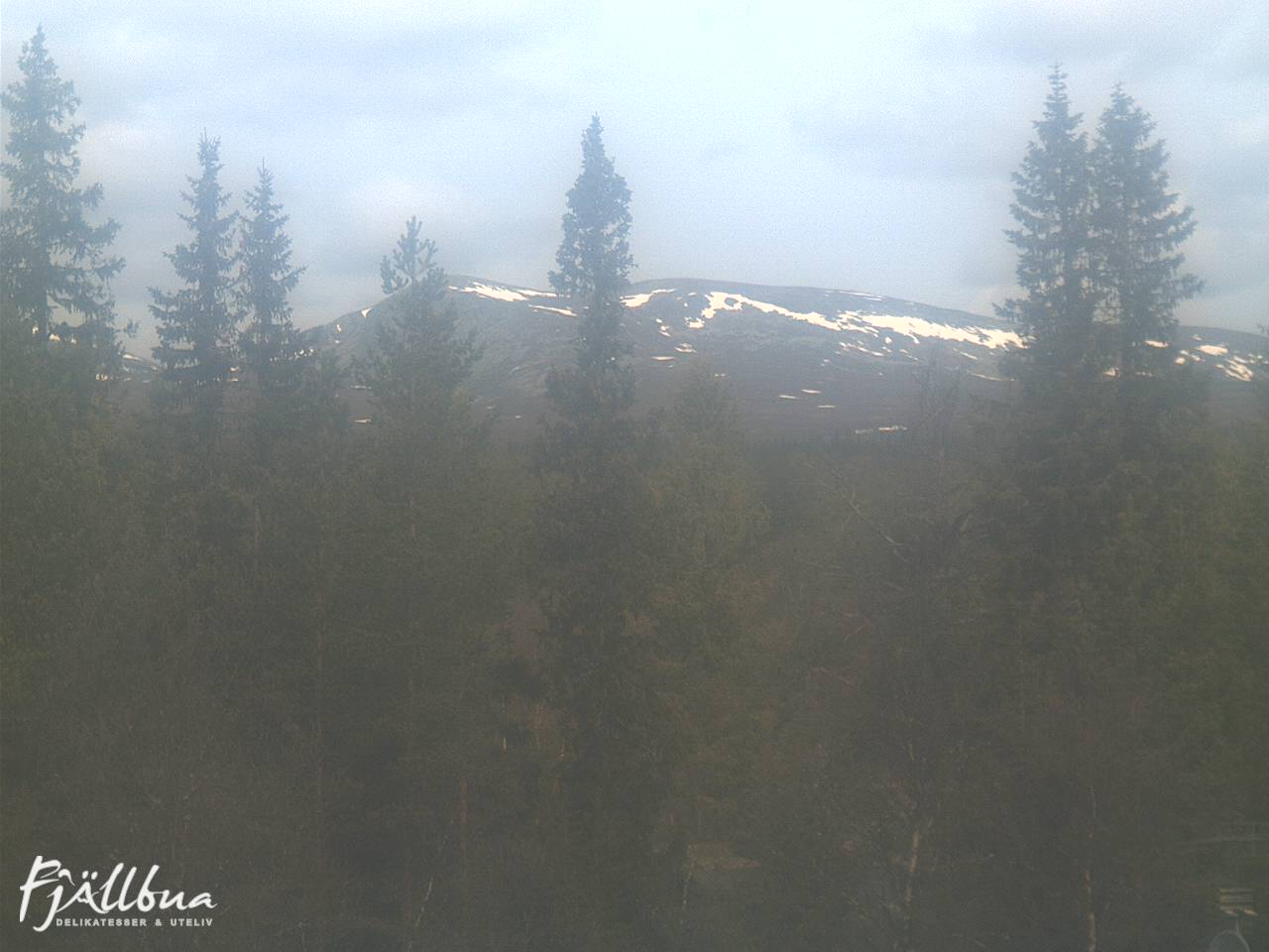 Fjällbua webcam 2025-06-03 10:30