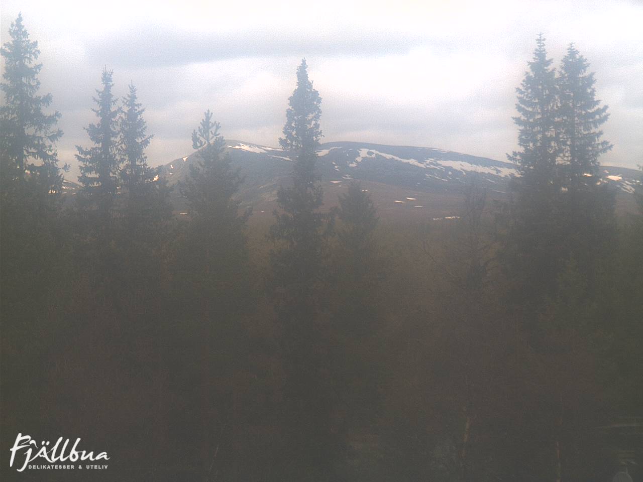 Fjällbua webcam 2025-06-03 11:00