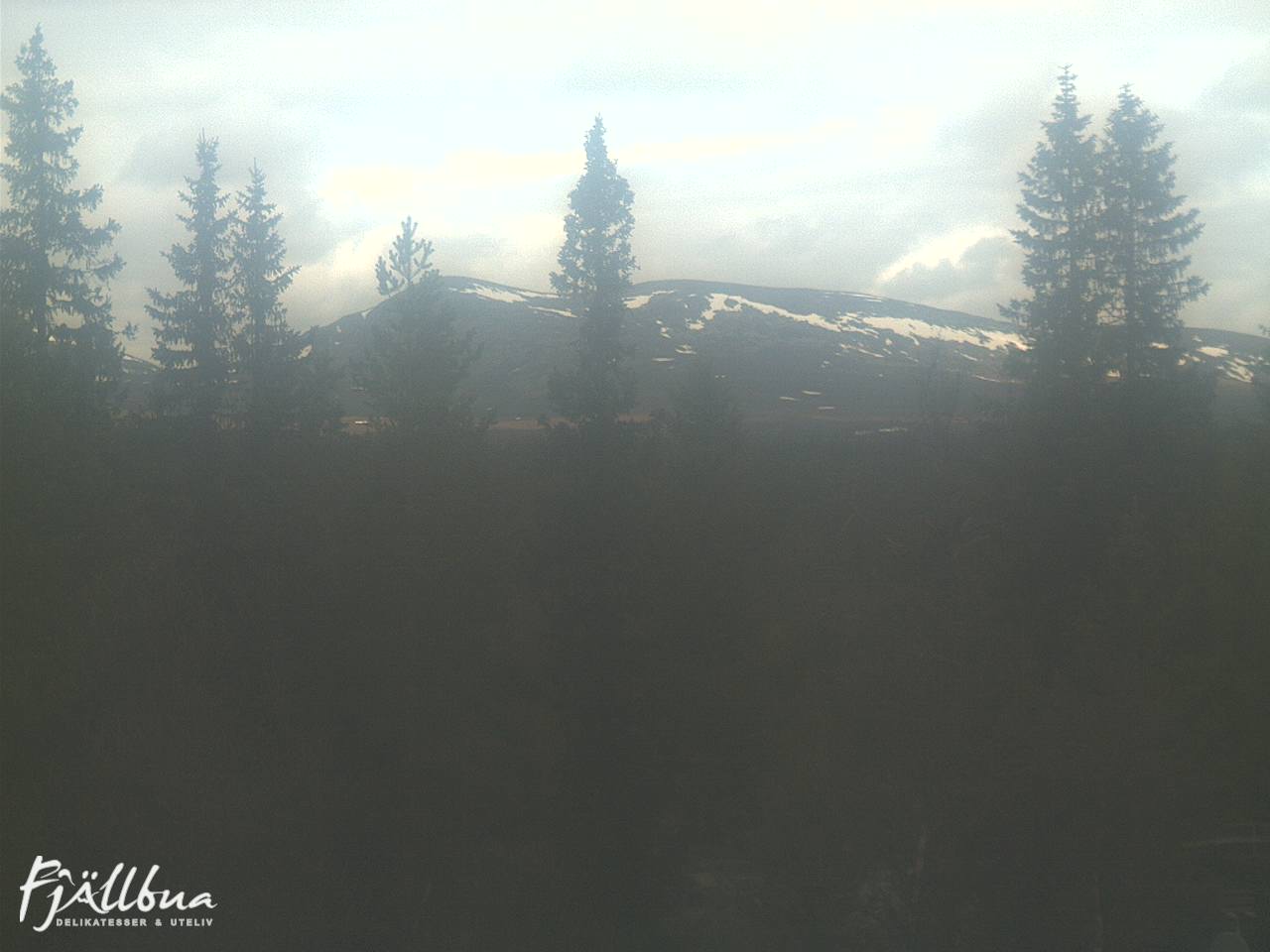 Fjällbua webcam 2025-06-03 11:30