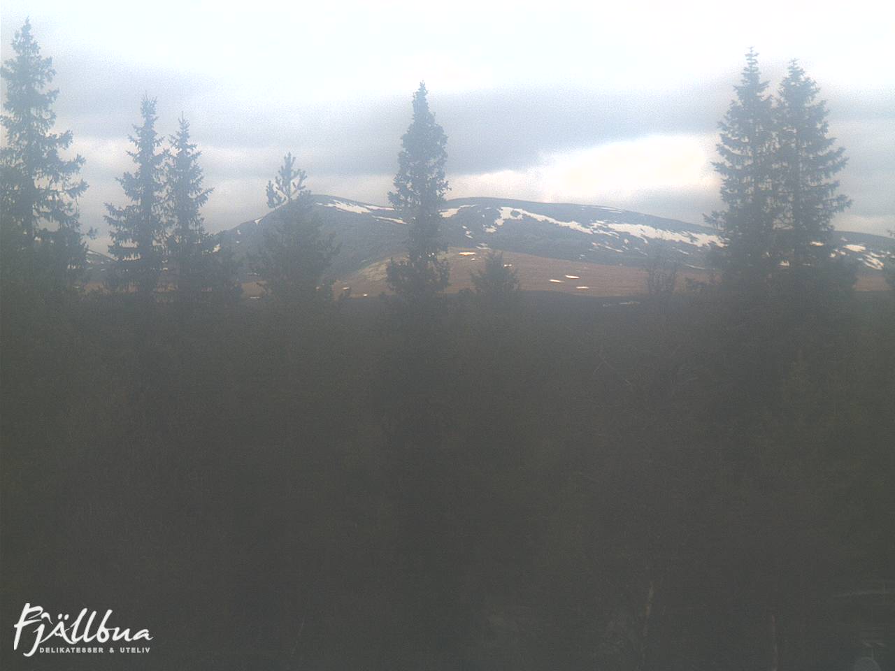 Fjällbua webcam 2025-06-03 12:00