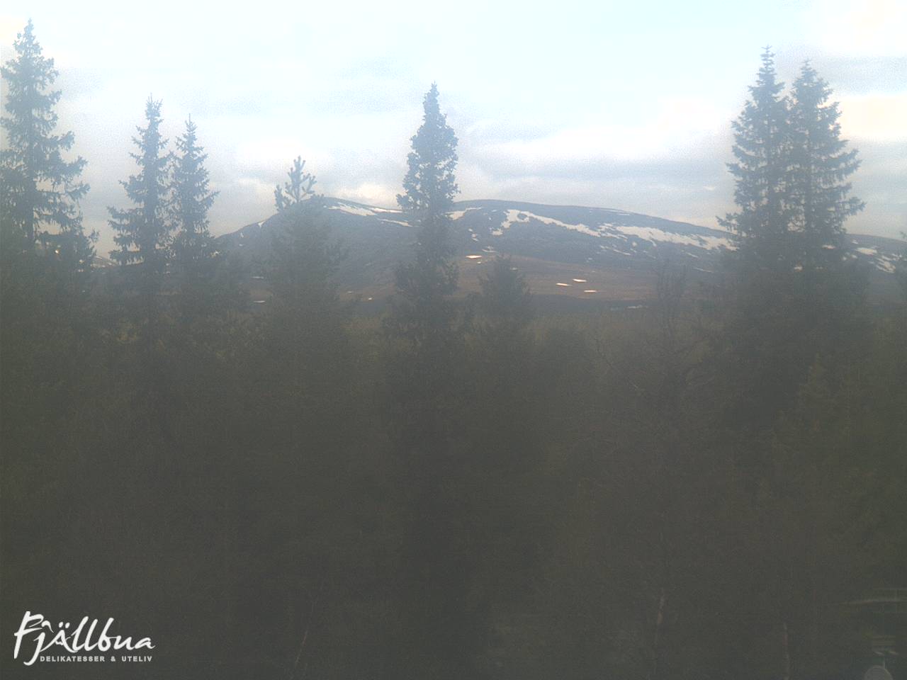 Fjällbua webcam 2025-06-03 12:30
