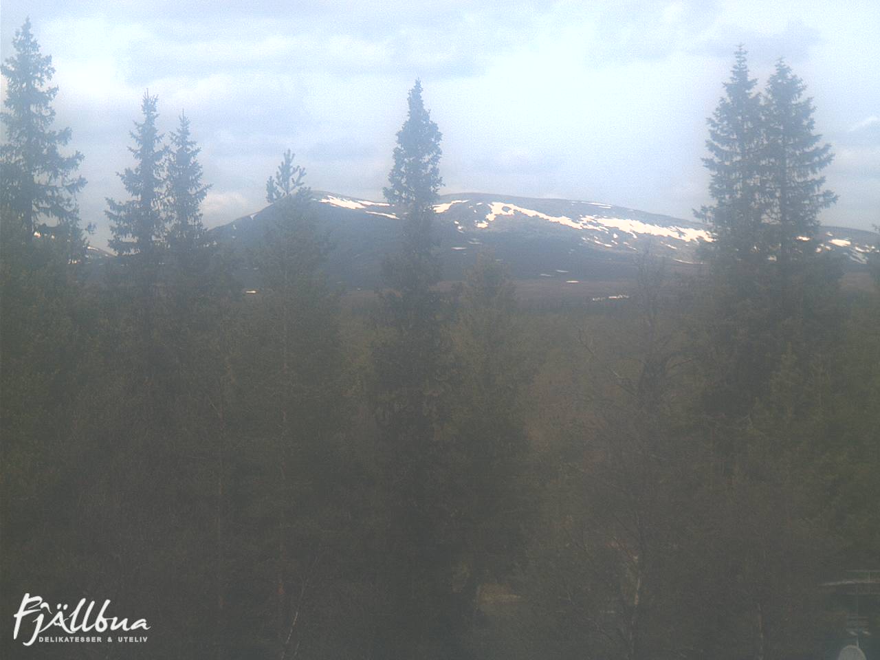 Fjällbua webcam 2025-06-03 13:00