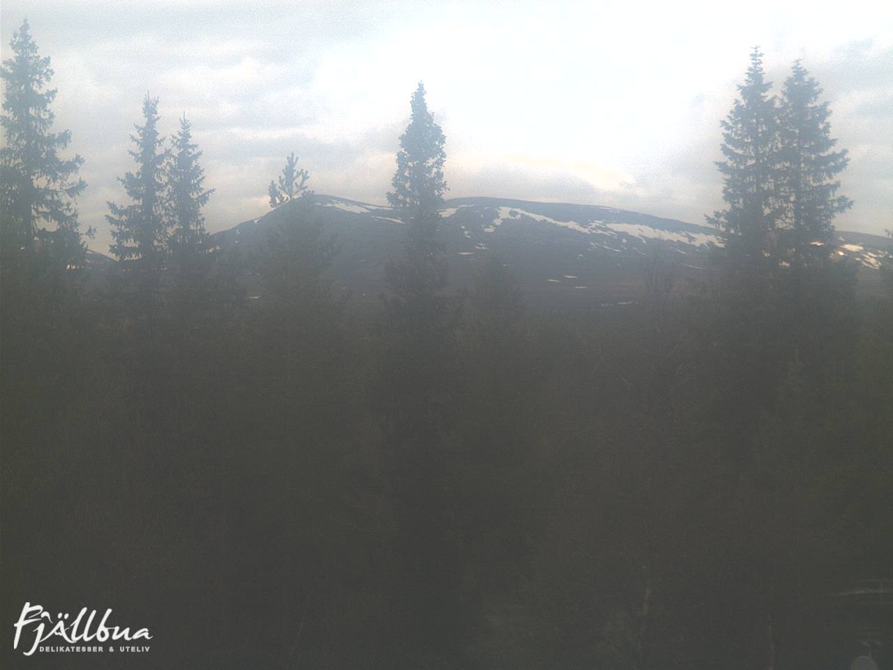 Fjällbua webcam 2025-06-03 13:30