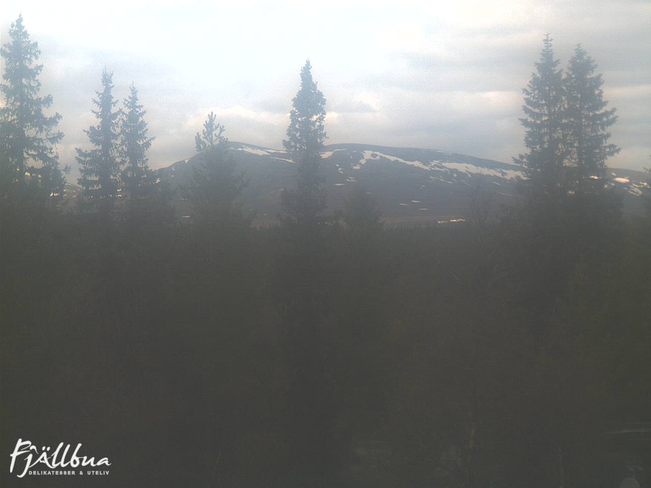 Fjällbua webcam 2025-06-03 14:00