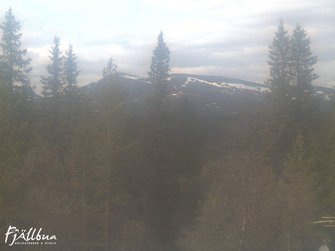 Fjällbua webcam 2025-06-03 14:30