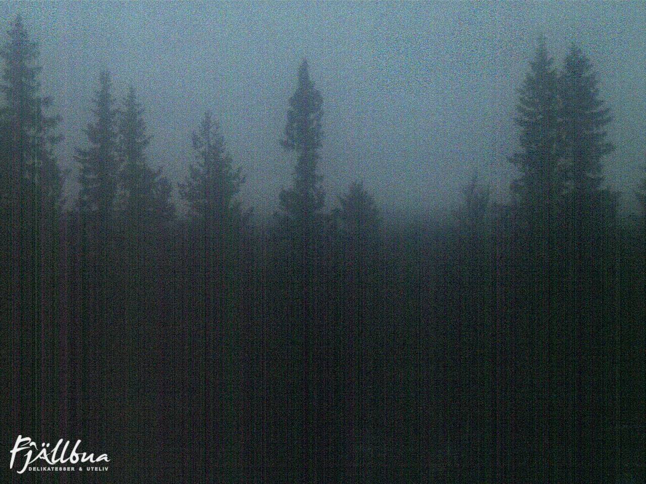 Fjällbua webcam 2024-10-06 07:00