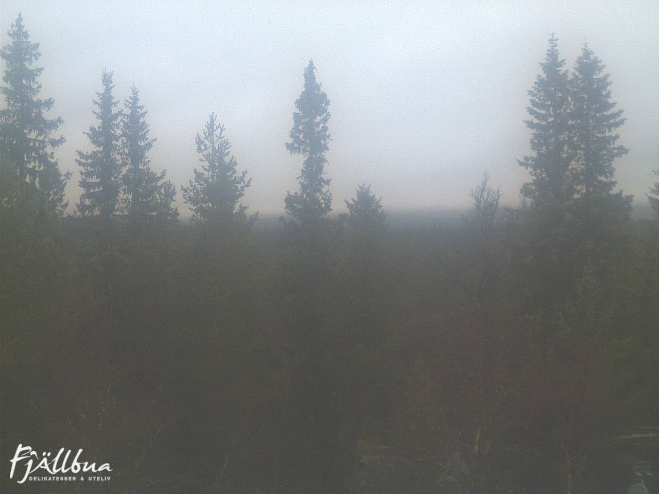 Fjällbua webcam 2024-10-06 09:00