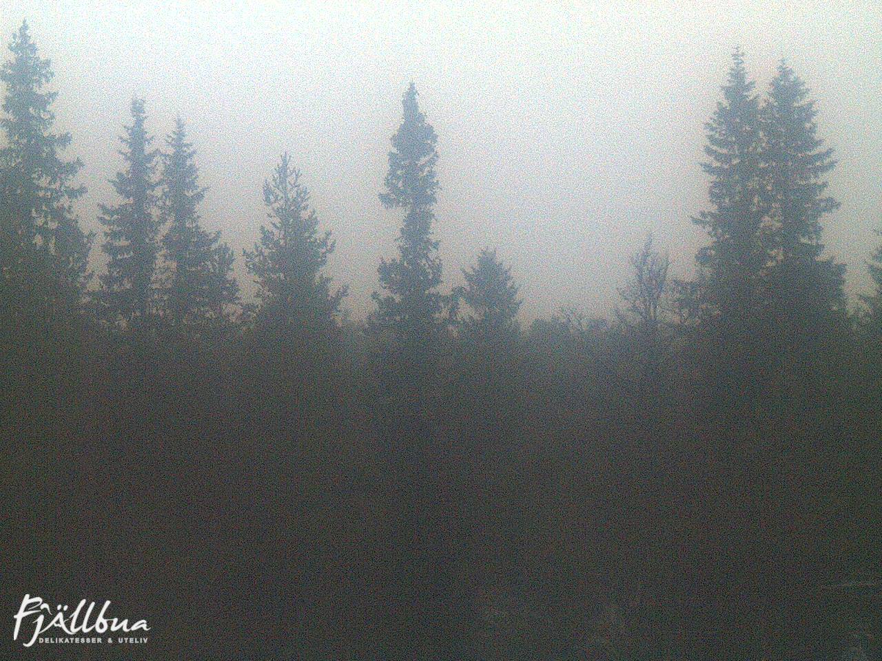 Fjällbua webcam 2024-10-08 07:30