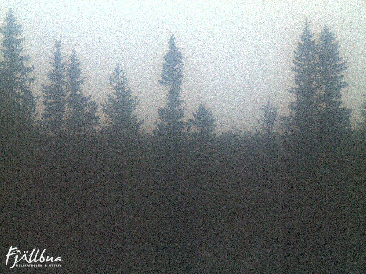 Fjällbua webcam 2024-10-08 18:30