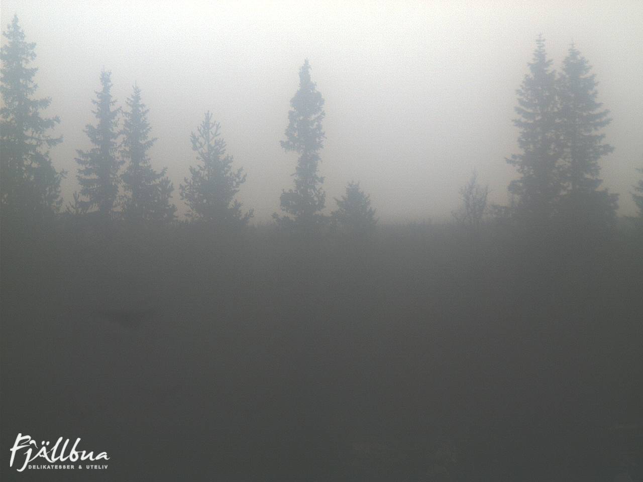 Fjällbua webcam 2024-10-10 16:00