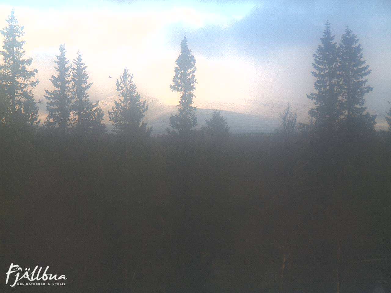 Fjällbua webcam 2024-10-11 09:00