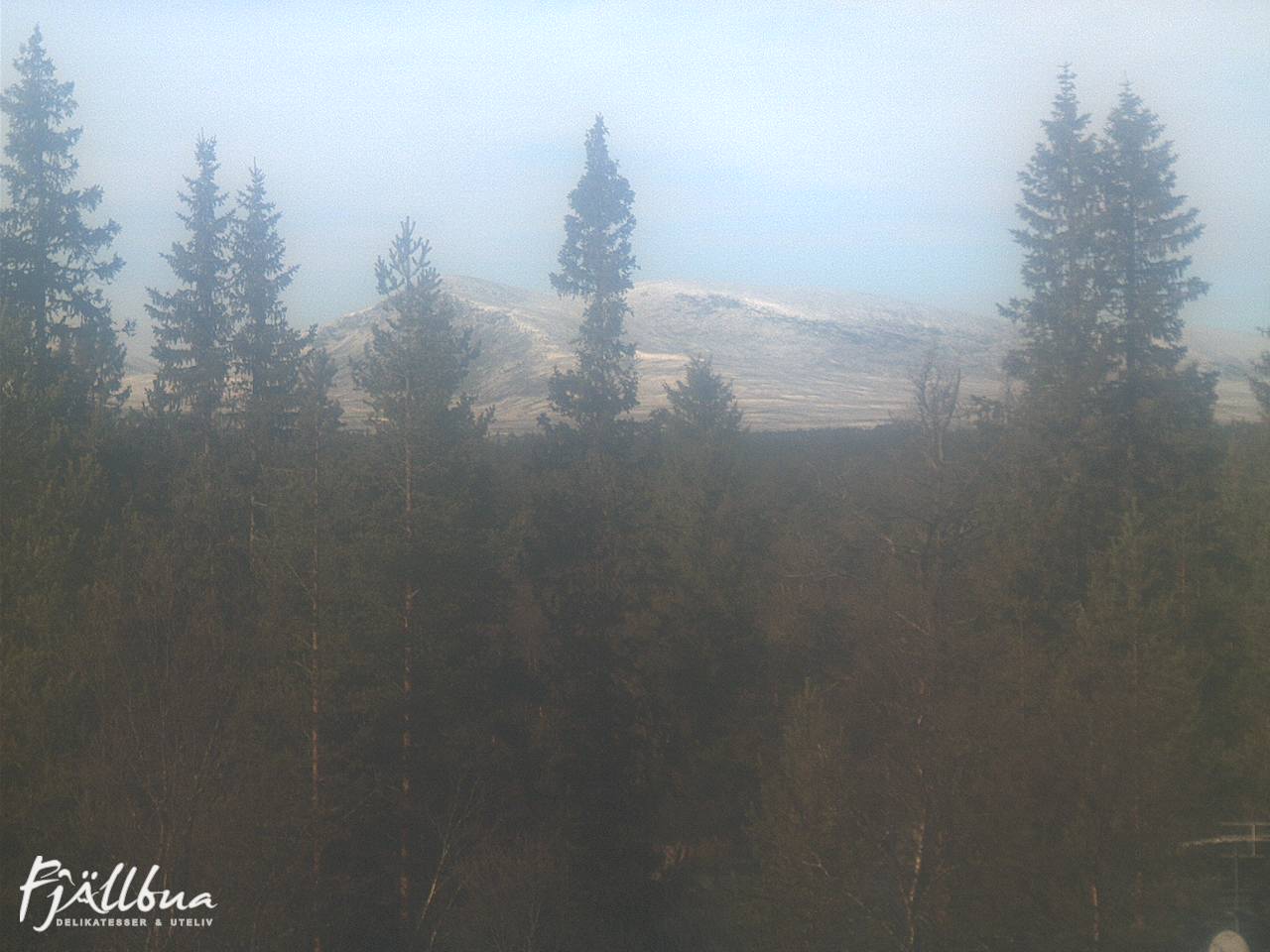 Fjällbua webcam 2024-10-11 13:30