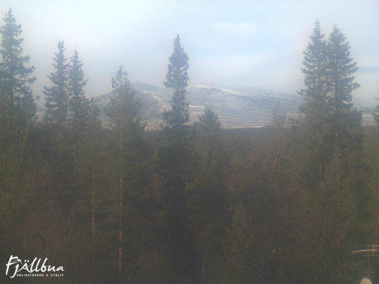 Fjällbua webcam 2024-10-11 14:00