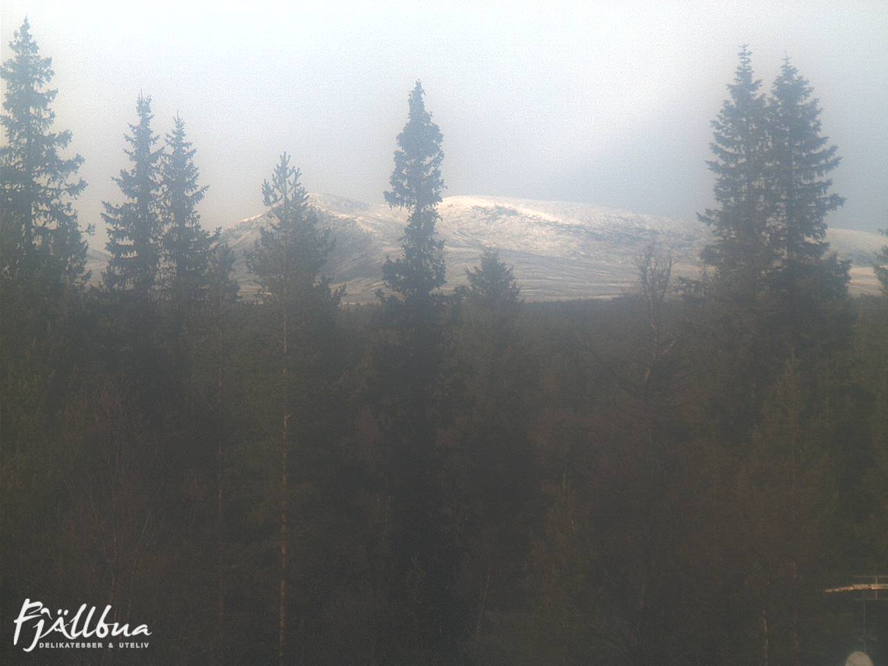 Fjällbua webcam 2024-10-11 14:30