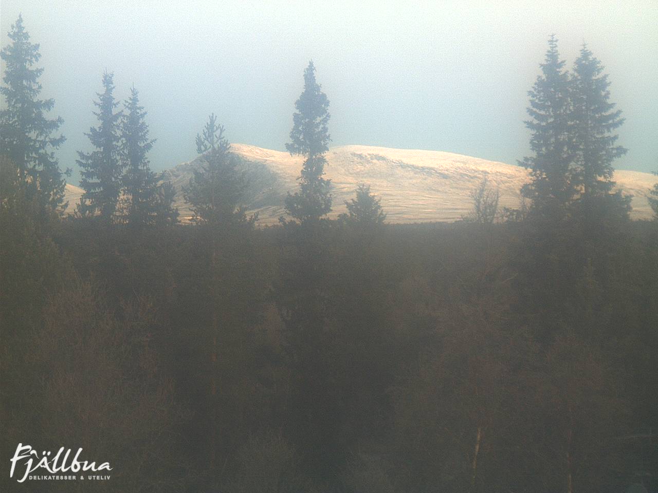 Fjällbua webcam 2024-10-12 07:30