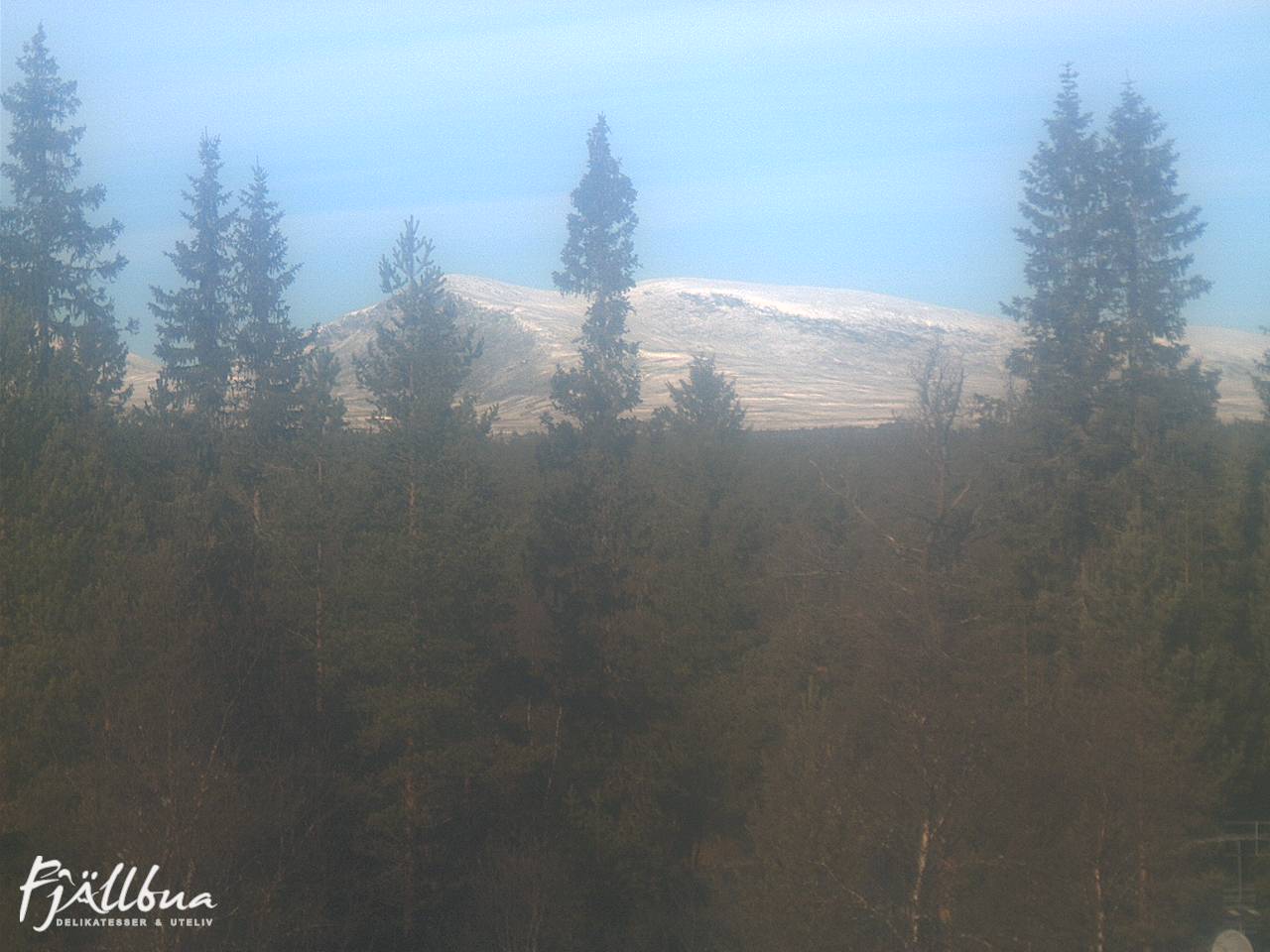 Fjällbua webcam 2024-10-12 11:30