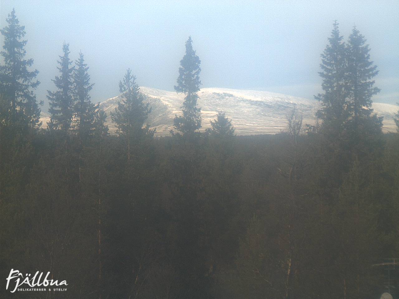 Fjällbua webcam 2024-10-12 13:00