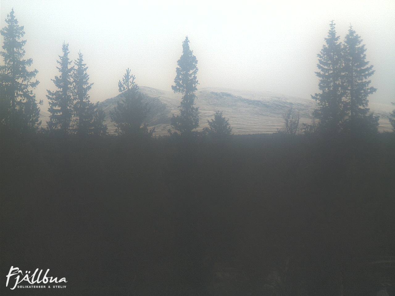 Fjällbua webcam 2024-10-12 14:00