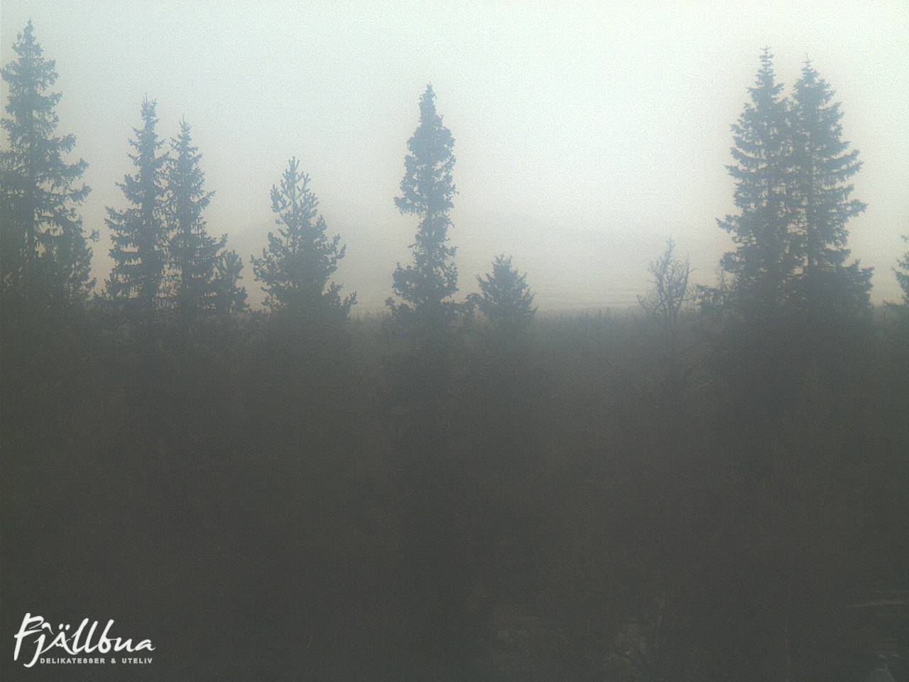 Fjällbua webcam 2024-10-12 16:30