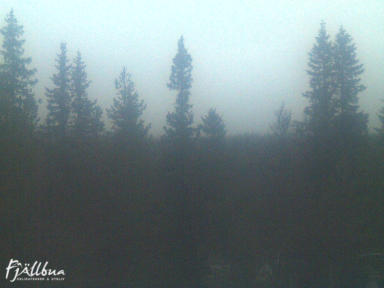 Fjällbua webcam 2024-10-13 07:30