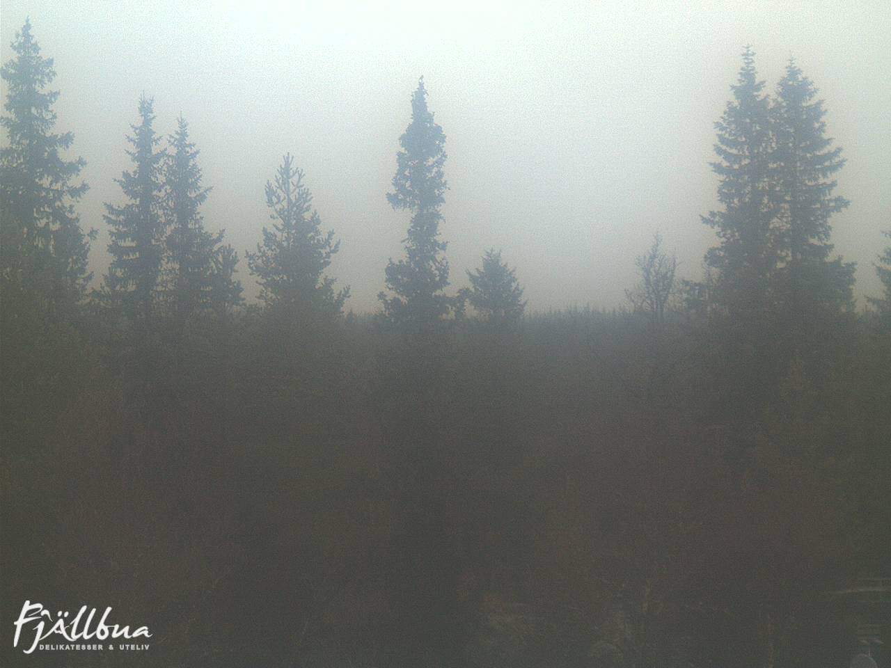 Fjällbua webcam 2024-10-13 08:00