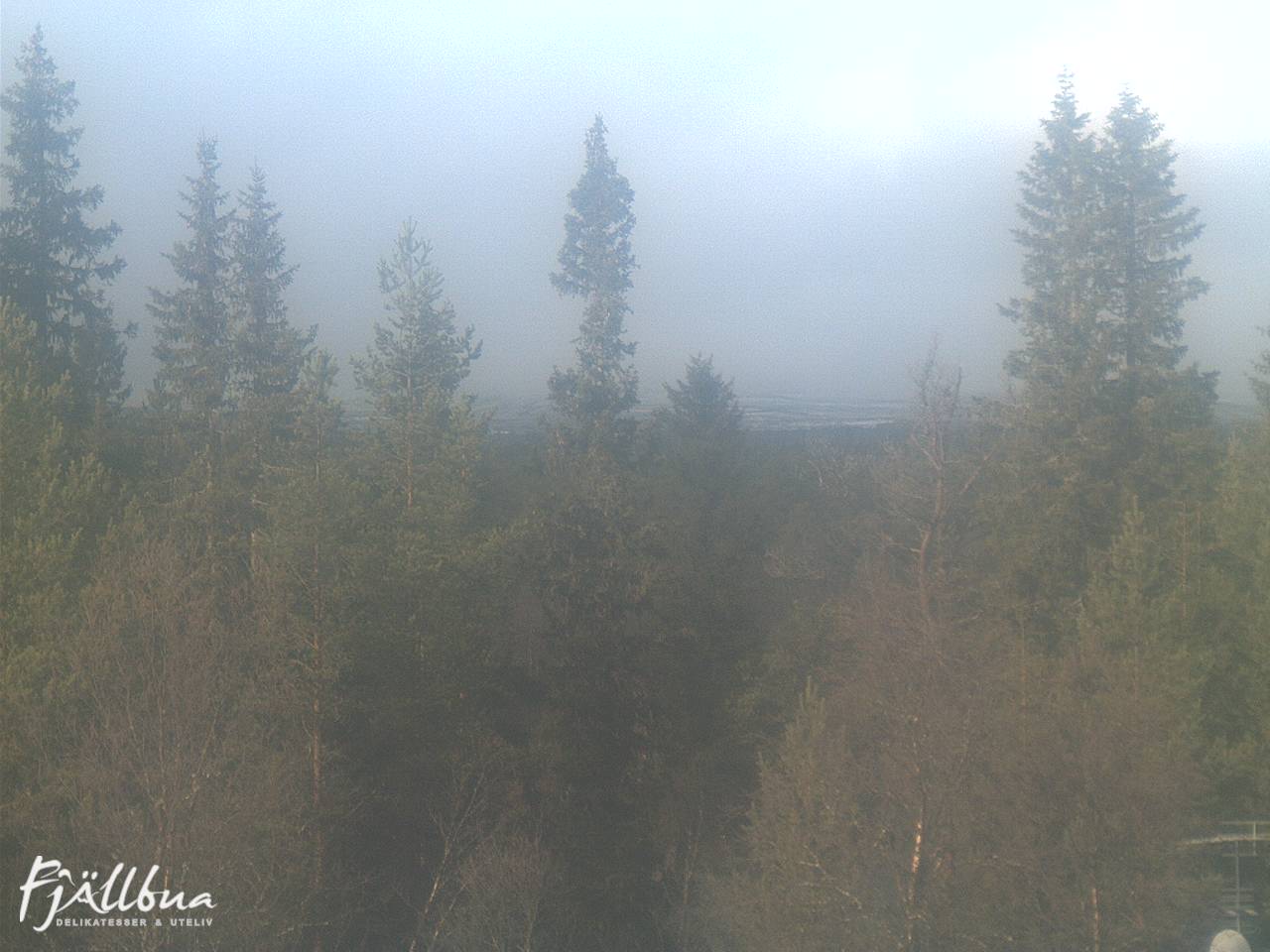 Fjällbua webcam 2024-10-13 13:00