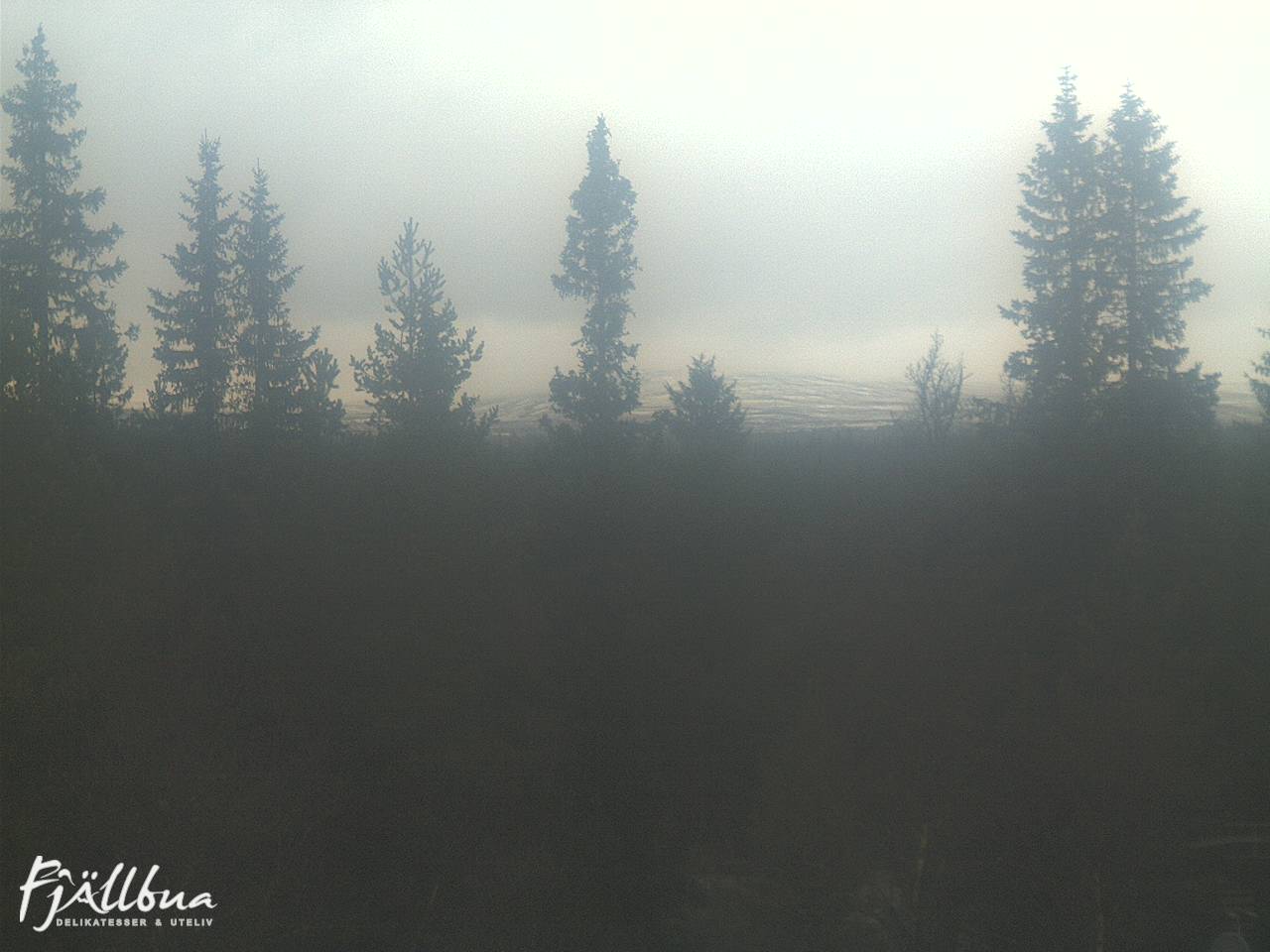 Fjällbua webcam 2024-10-13 13:30