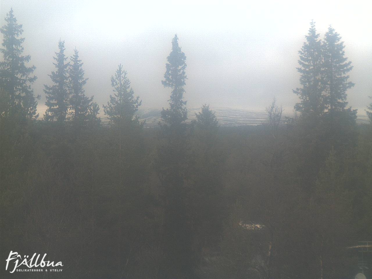 Fjällbua webcam 2024-10-13 14:30