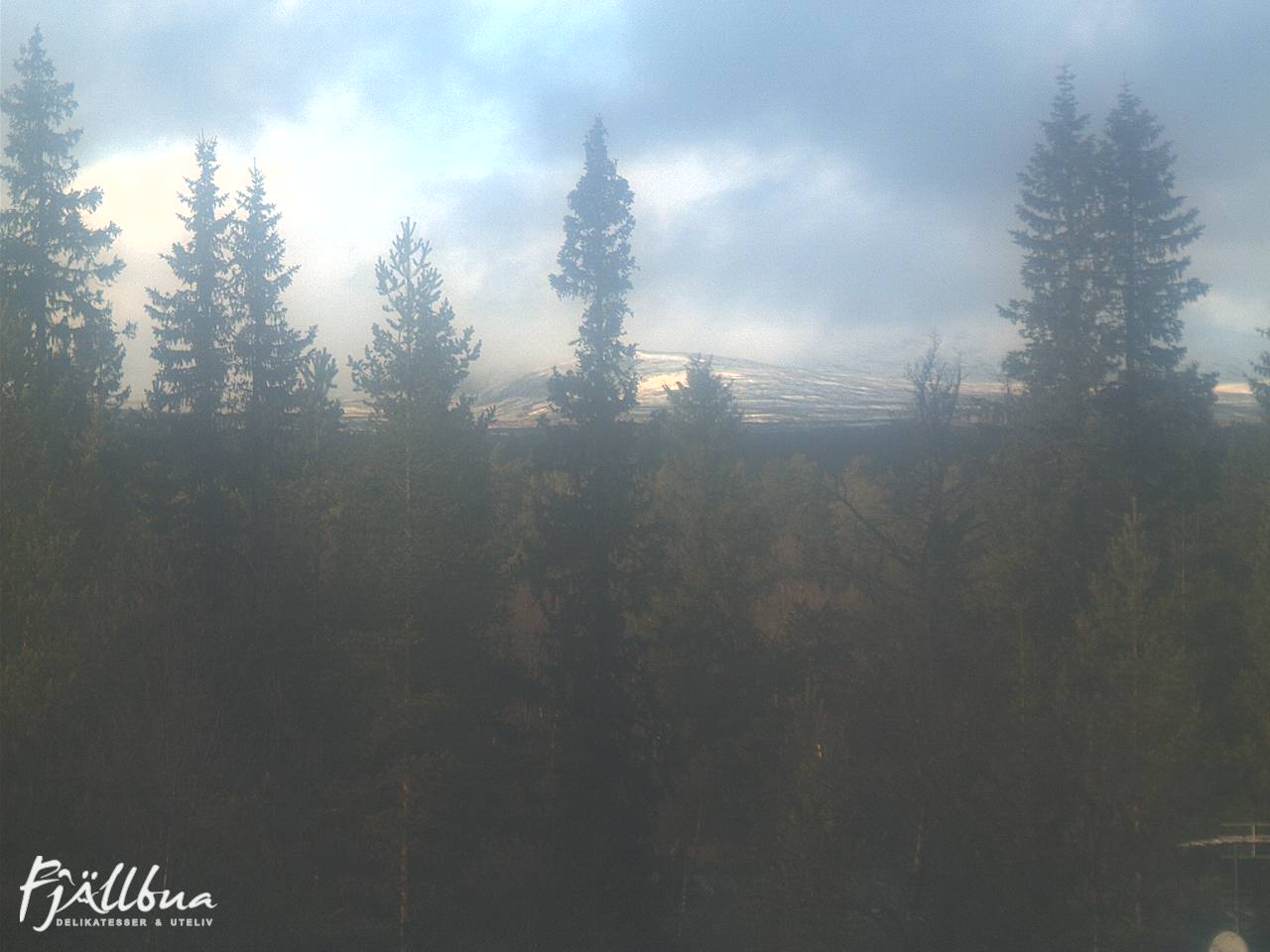 Fjällbua webcam 2024-10-13 15:00