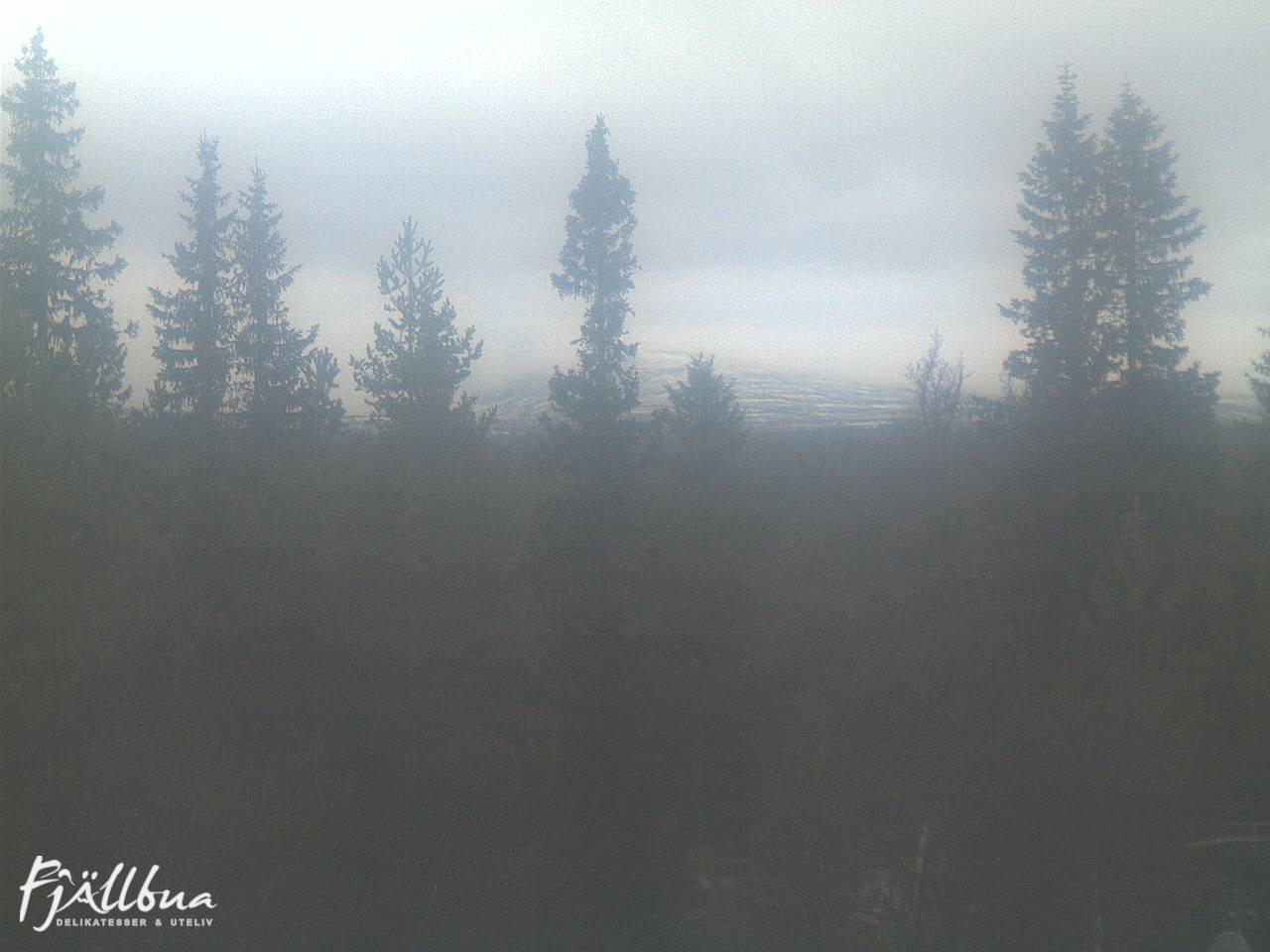 Fjällbua webcam 2024-10-13 18:00