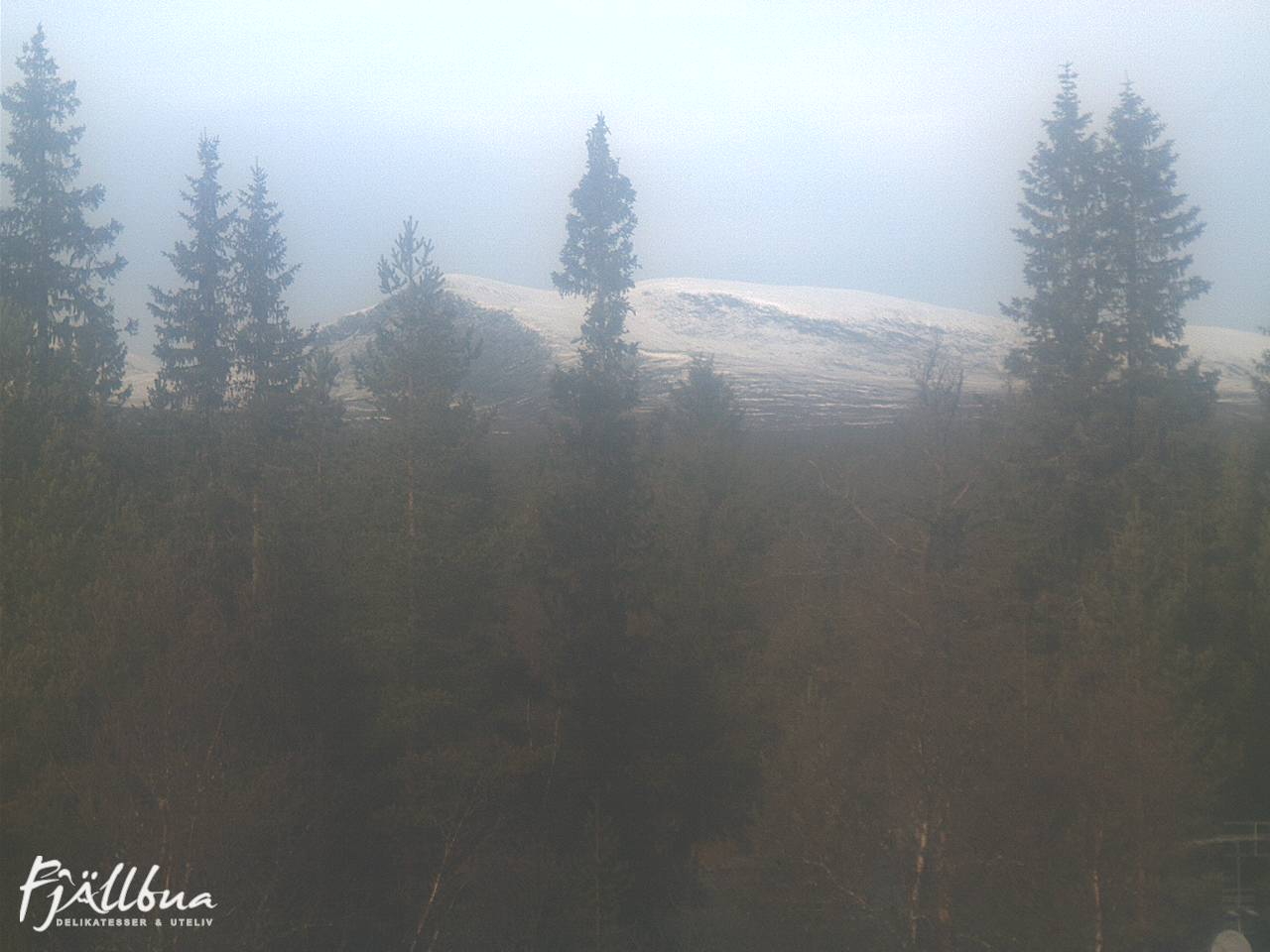 Fjällbua webcam 2024-10-16 12:00