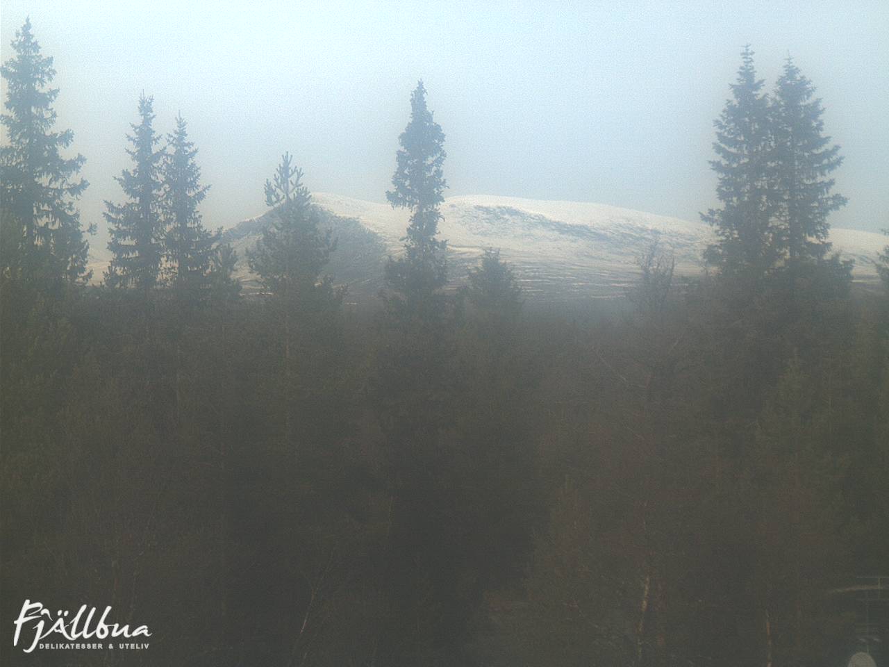 Fjällbua webcam 2024-10-16 12:30