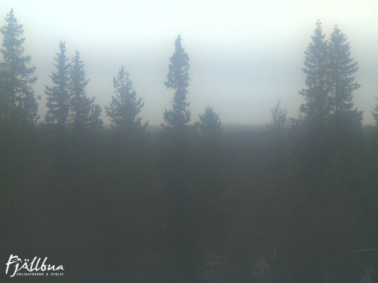 Fjällbua webcam 2024-10-17 16:00