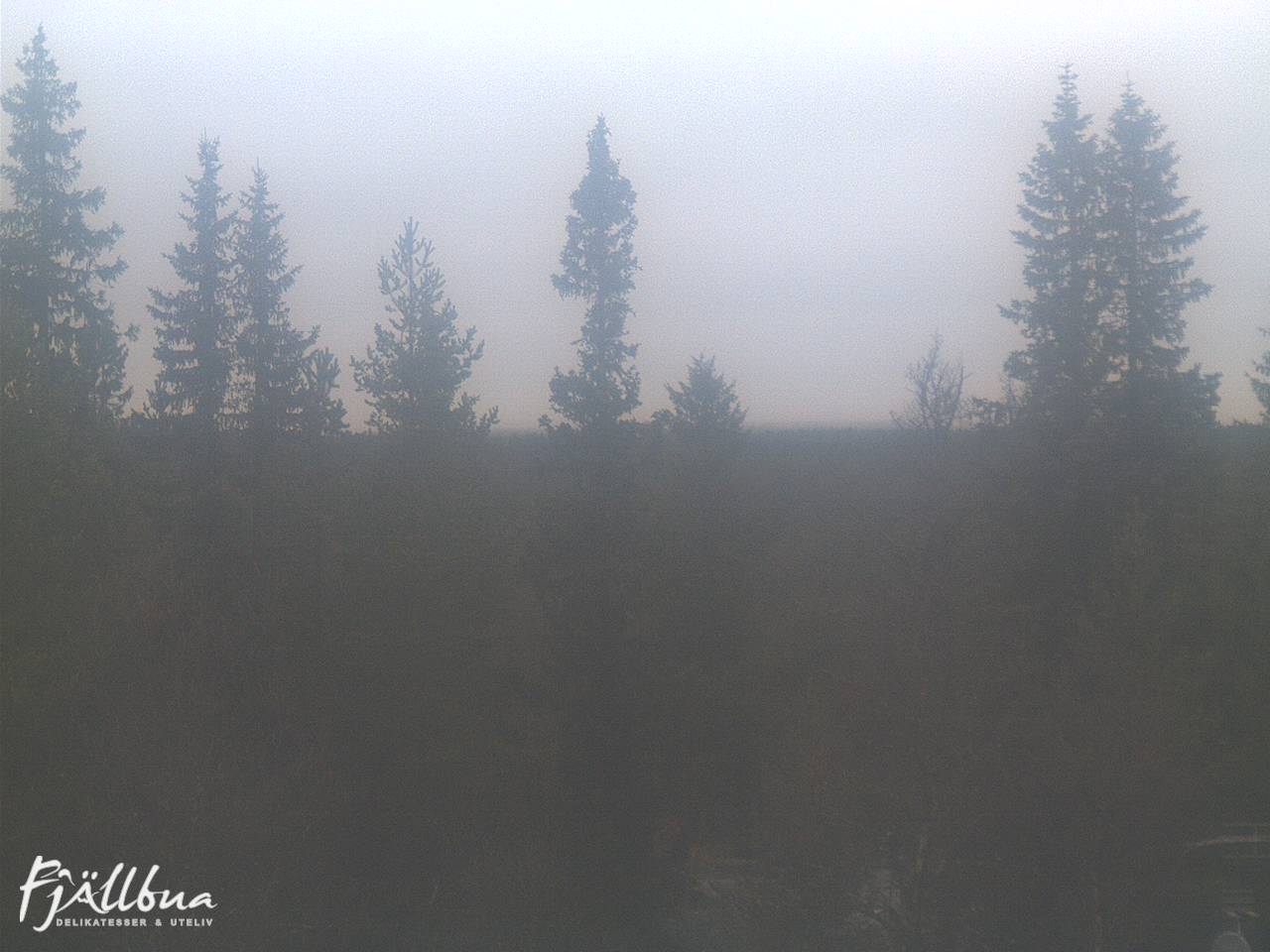 Fjällbua webcam 2024-10-18 11:30