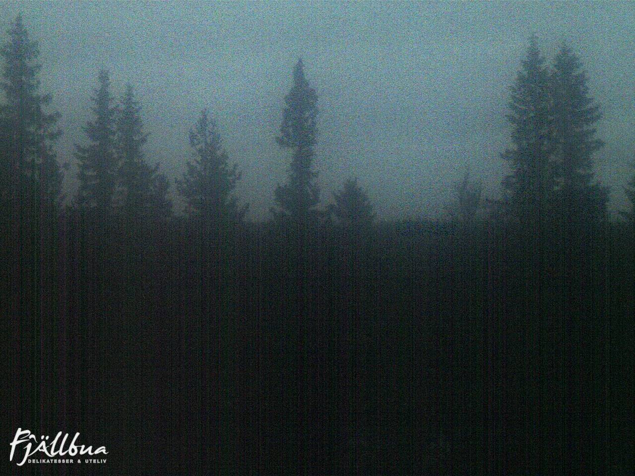 Fjällbua webcam 2024-10-19 07:30