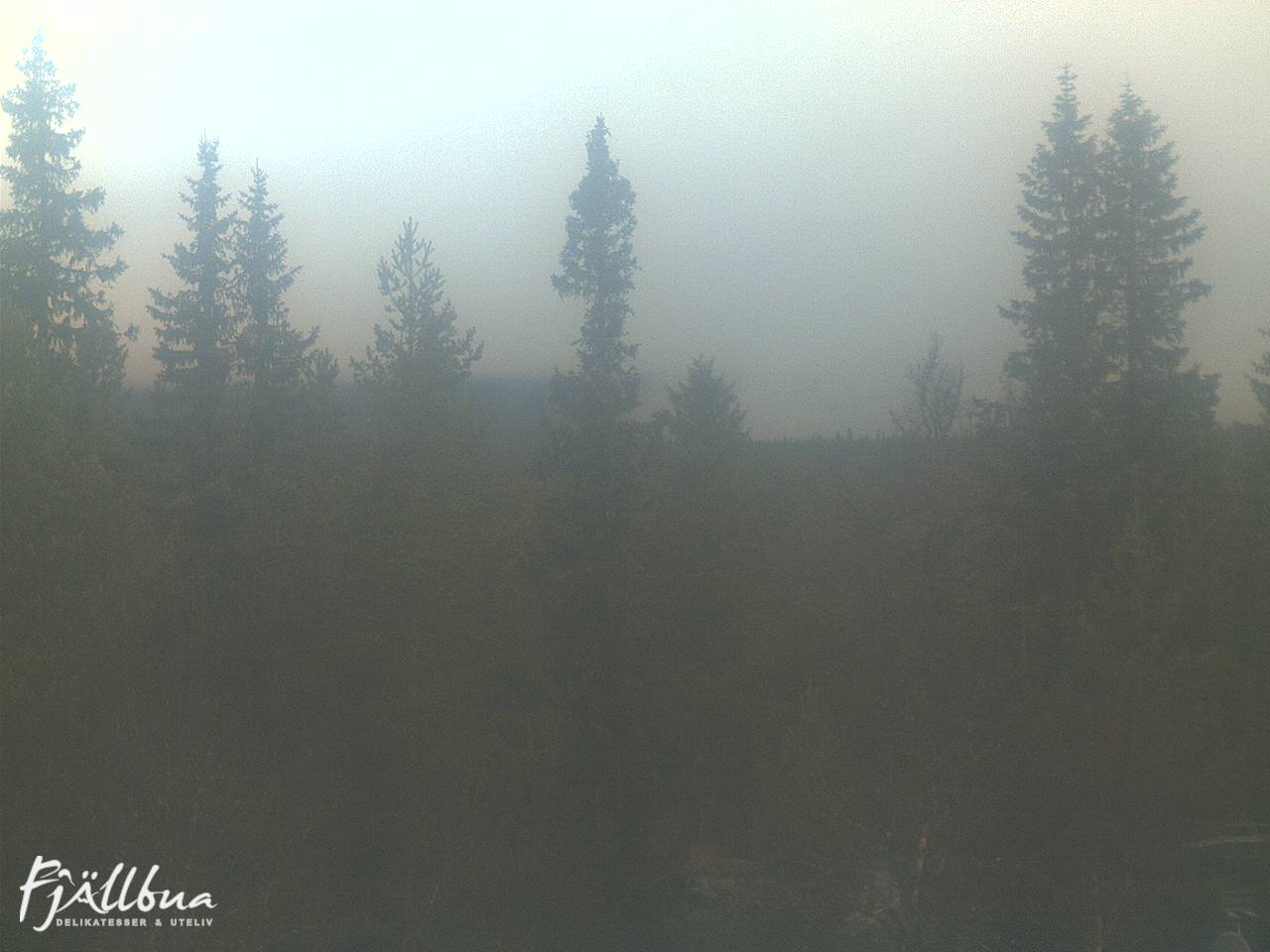 Fjällbua webcam 2024-10-19 08:30