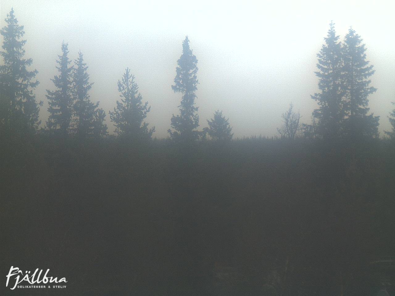 Fjällbua webcam 2024-10-19 09:00